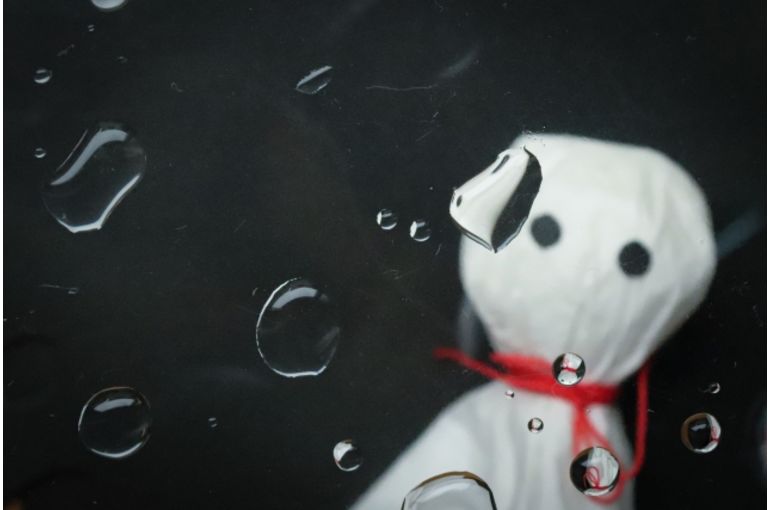 岸和田でボイトレ 雨の日の歌